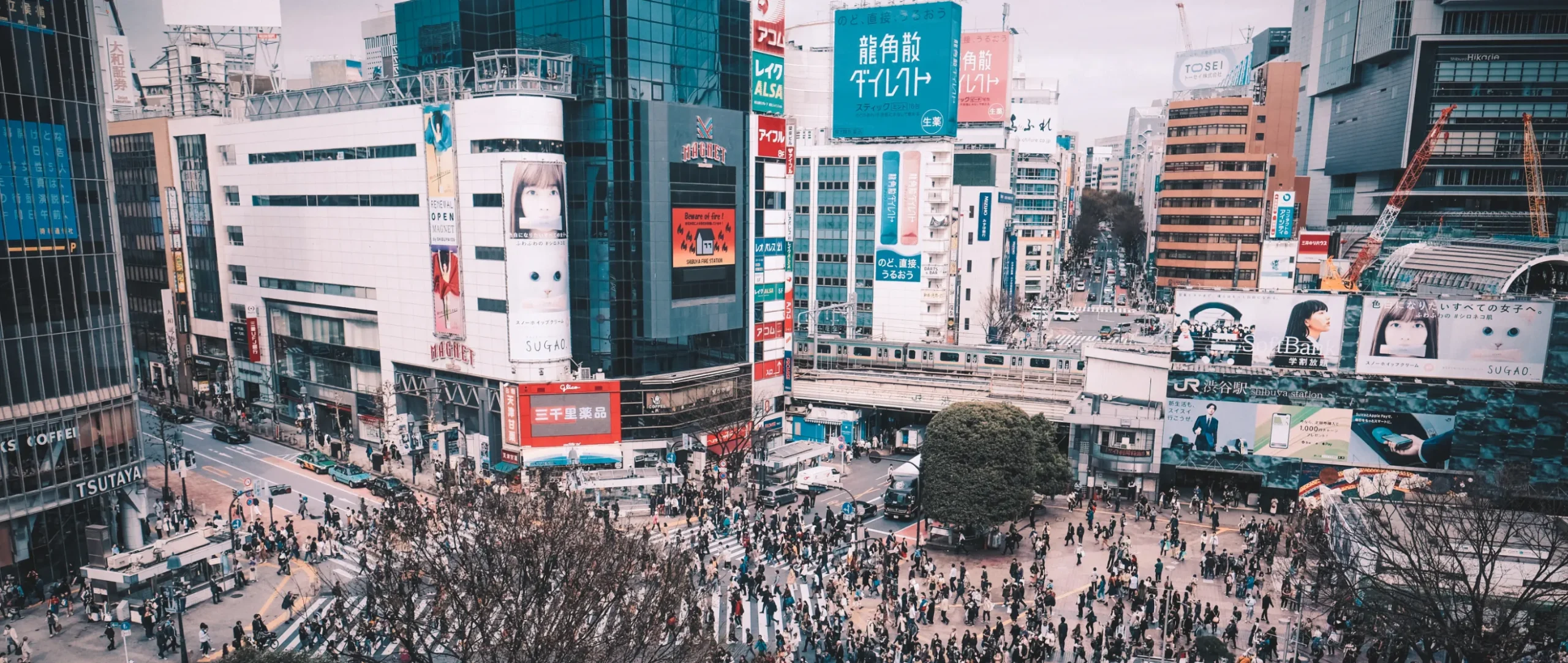 認証付きテスト投稿
